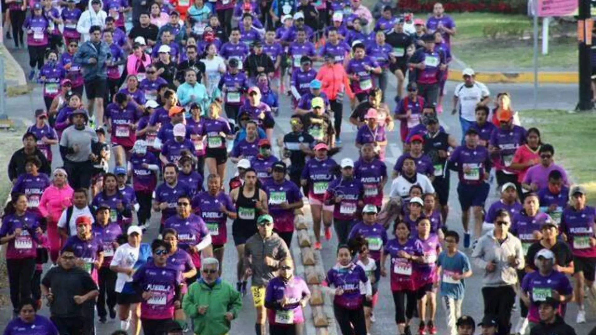 listos recorridos para el maraton y medio maraton